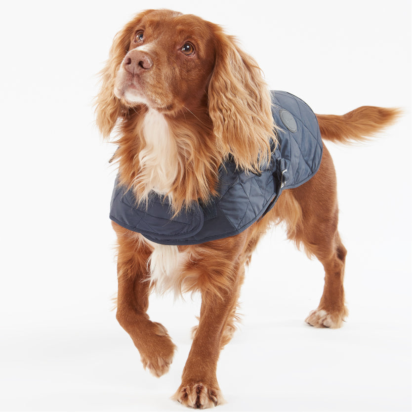 Quilted Dog Coat Navy#Color_Navy