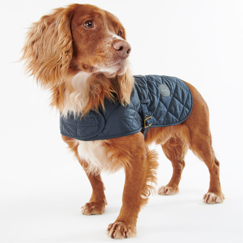 Quilted Dog Coat Navy#Color_Navy